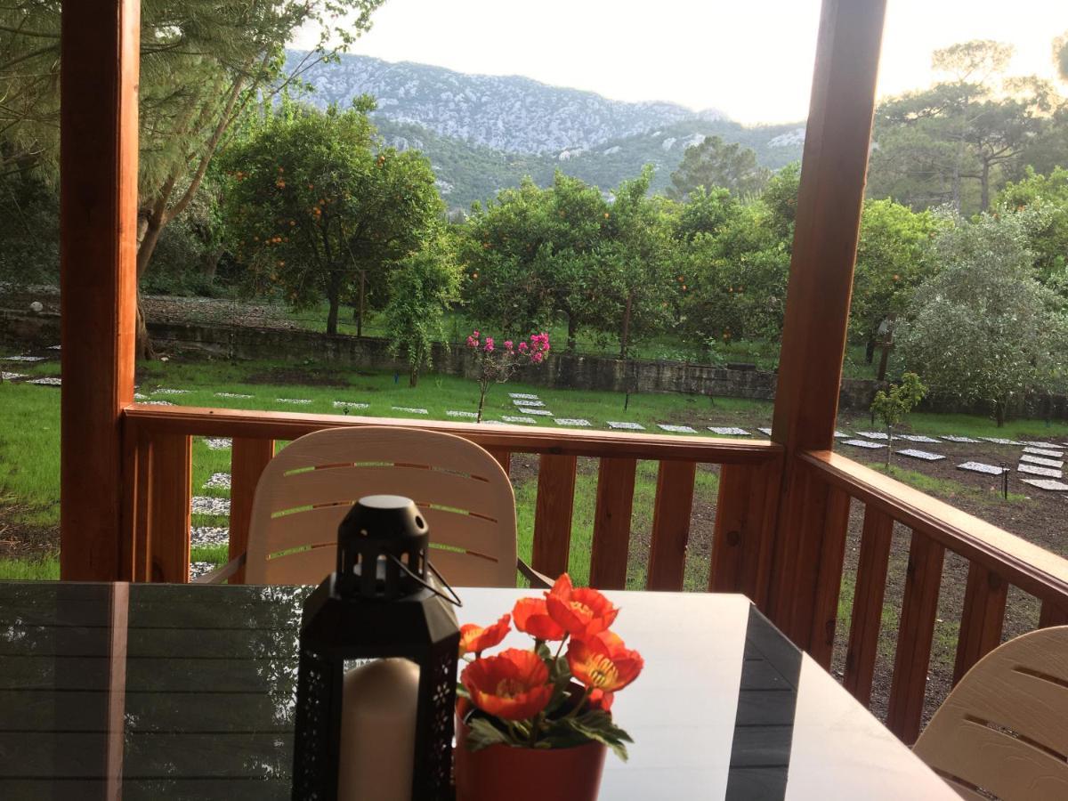 Apartamento Seker Bungalov Çıralı Exterior foto