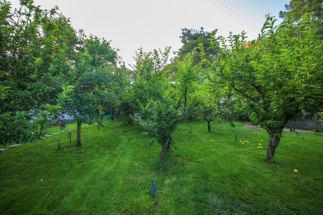 Apartamento Seker Bungalov Çıralı Exterior foto