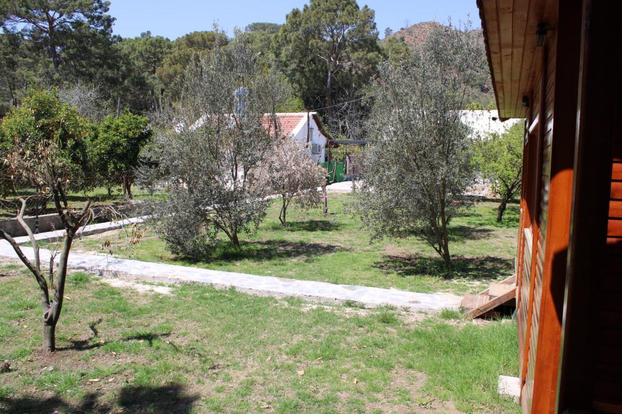 Apartamento Seker Bungalov Çıralı Exterior foto