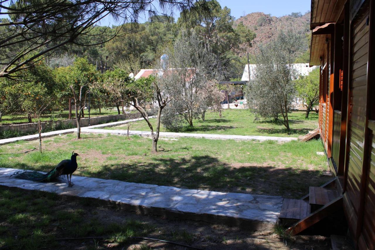 Apartamento Seker Bungalov Çıralı Exterior foto